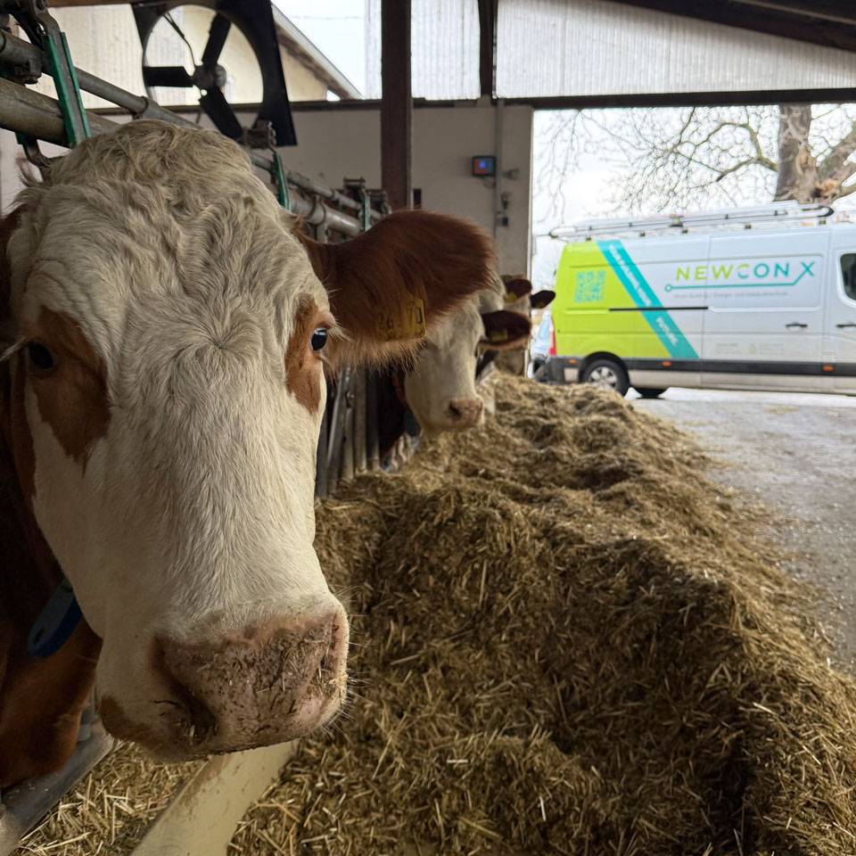 Autarkie für Ihren Stall